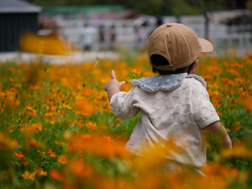 ブルーメの丘の花畑でオレンジ色の花を指さす1歳児